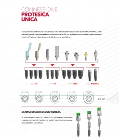 connessione-conexa9