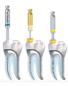 endo-komet6